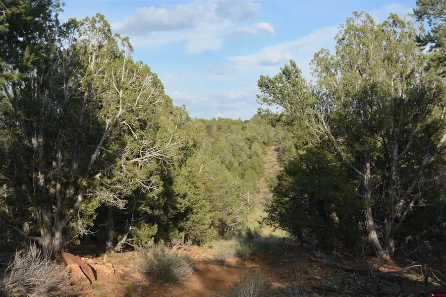 TBD County Road 109, Hesperus, CO 81326 - #2