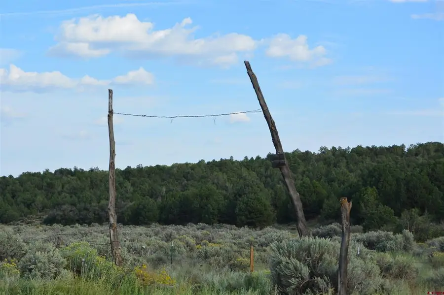 TBD County Road 109, Hesperus, CO 81326 - #3