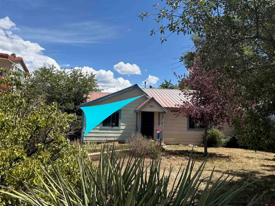 203 S 8th Street, Dolores, CO 81323 - #2