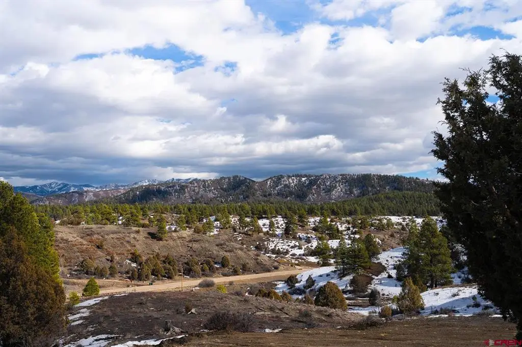 230 Kristina Court, Pagosa Springs, CO 81147 - #1