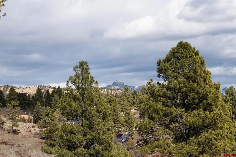 230 Kristina Court, Pagosa Springs, CO 81147 - #2