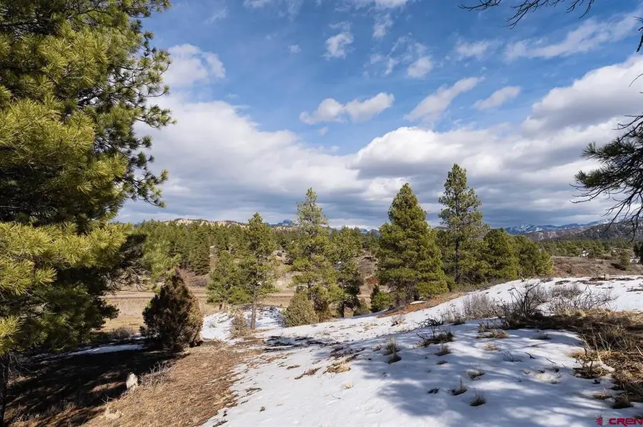 230 Kristina Court, Pagosa Springs, CO 81147 - #3