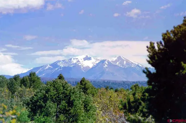 TBD De Oro Way, Hesperus, CO 81326