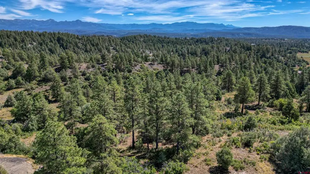 128 S Feather Court, Pagosa Springs, CO 81147 - #1