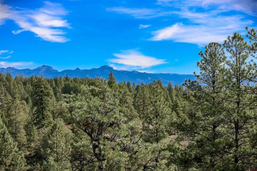 128 S Feather Court, Pagosa Springs, CO 81147 - #3