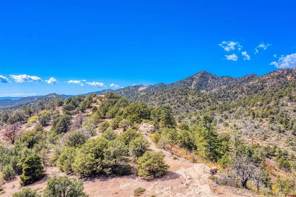 1050 Turkey Trot Lane, Durango, CO 81301 - #1