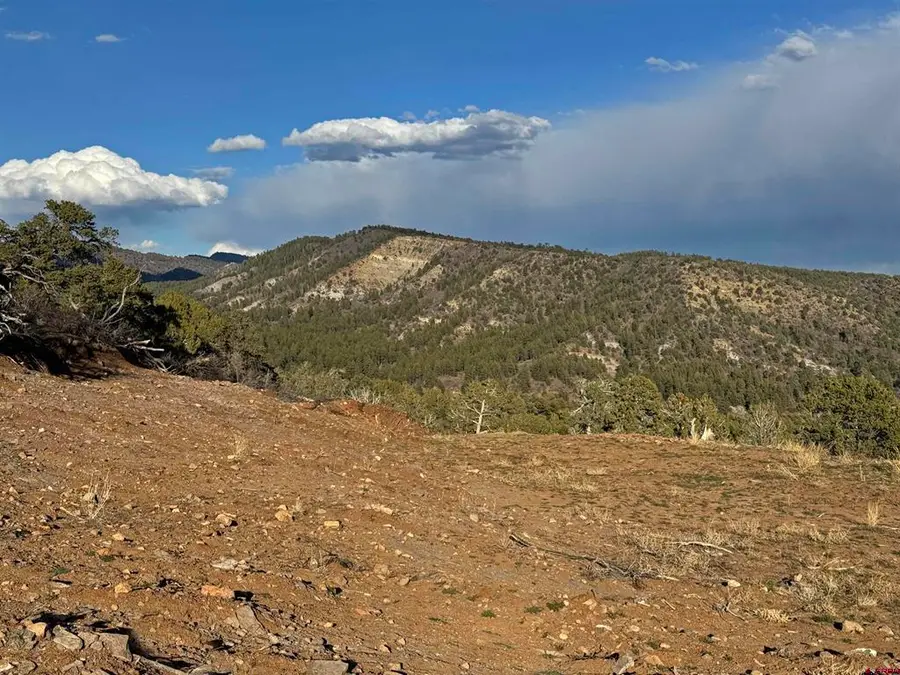 1050 Turkey Trot Lane, Durango, CO 81301 - #3