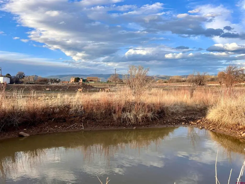 478 Hwy 172, Durango, CO 81303 - #1
