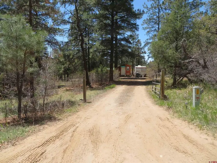 123 Susan's Place, Pagosa Springs, CO 81147 - #2