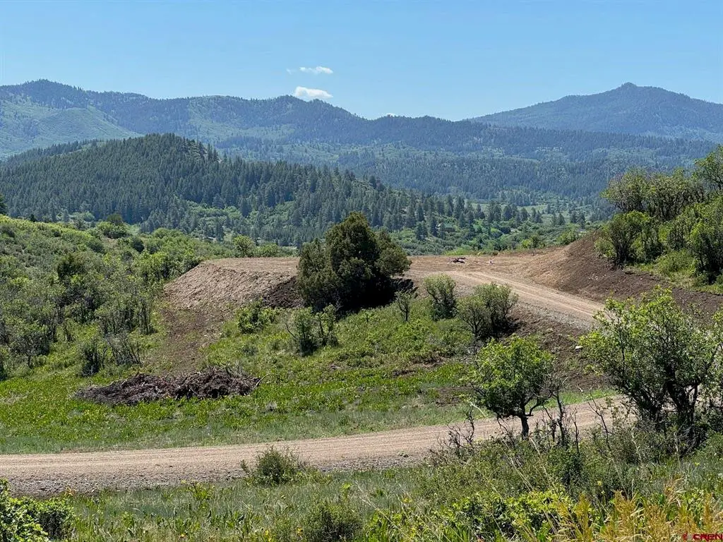 778 W Arbol Park Drive, Chromo, CO 81128 - #1