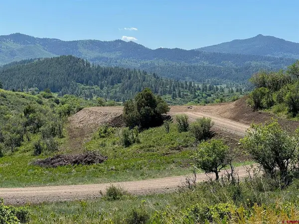 778 W Arbol Park Drive, Pagosa Springs, CO 81128
