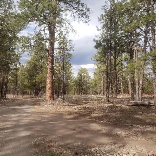 334 Wood Sorrel Lane, Montrose, CO 81403