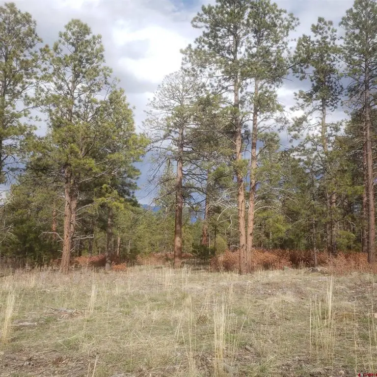 334 Wood Sorrel Lane, Montrose, CO 81403 - #2
