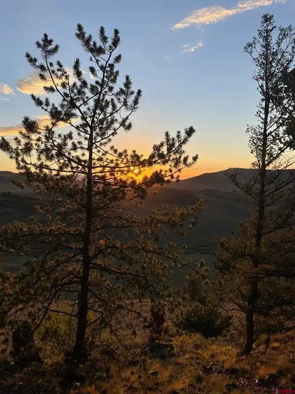 711 Crest Drive, Cimarron, CO 81220 - #3