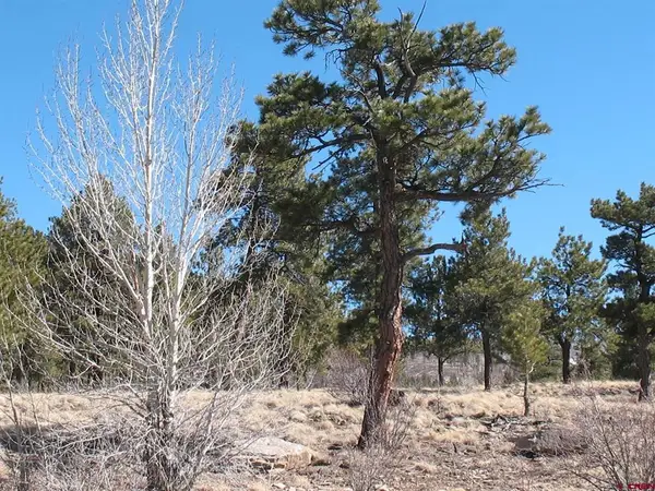 190 Church Creek Circle, South Fork, CO 81154