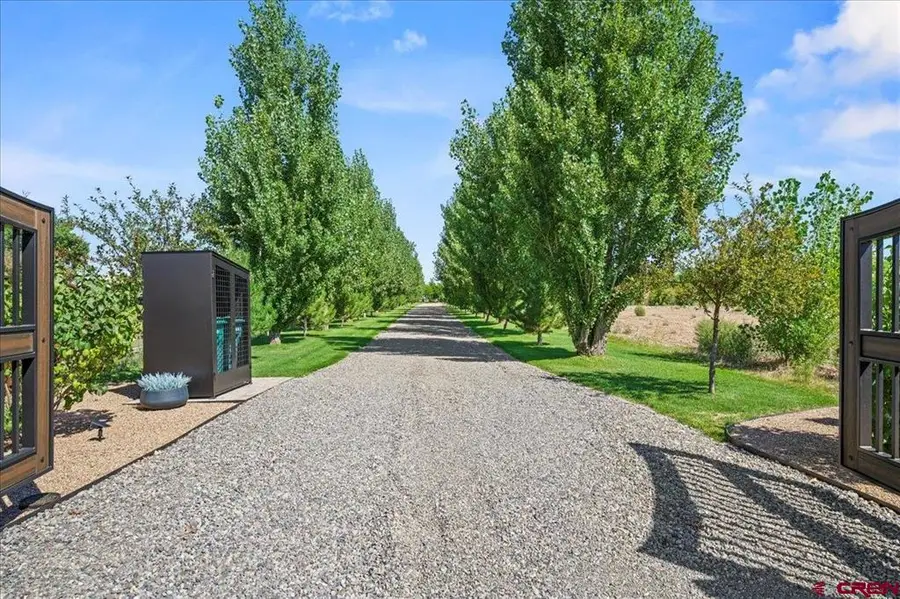 62347 Nectar Court, Montrose, CO 81403 - #3