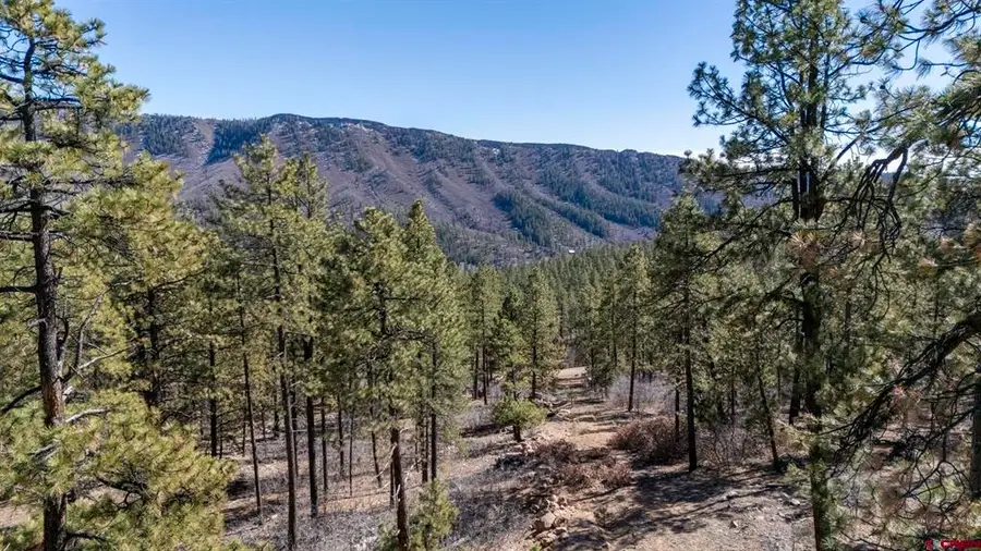 Lot 5A Taylor Ranch, Durango, CO 81301 - #3