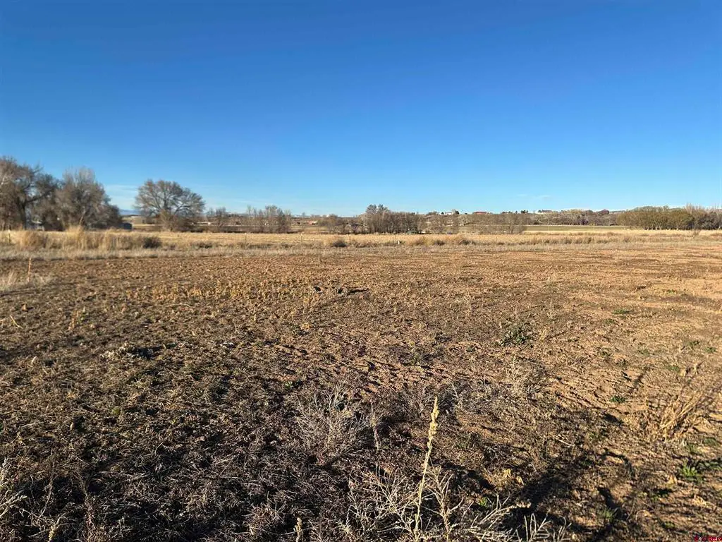 TBD Lot 2 5800 Road, Montrose, CO 81403 - #1