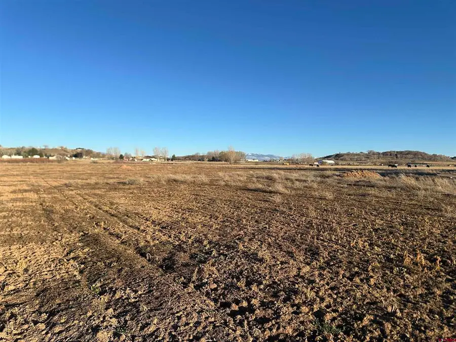 TBD Lot 2 5800 Road, Montrose, CO 81403 - #3