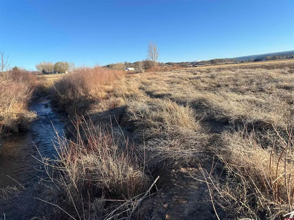 TBD Lot 3 5800 Road, Montrose, CO 81403 - #1