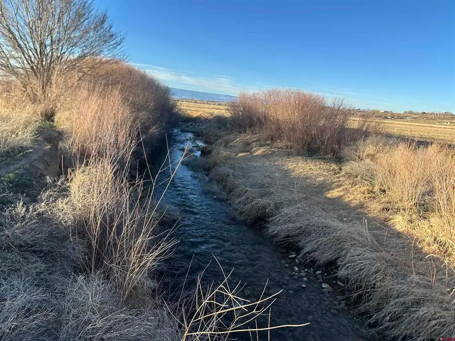 TBD Lot 3 5800 Road, Montrose, CO 81403 - #3
