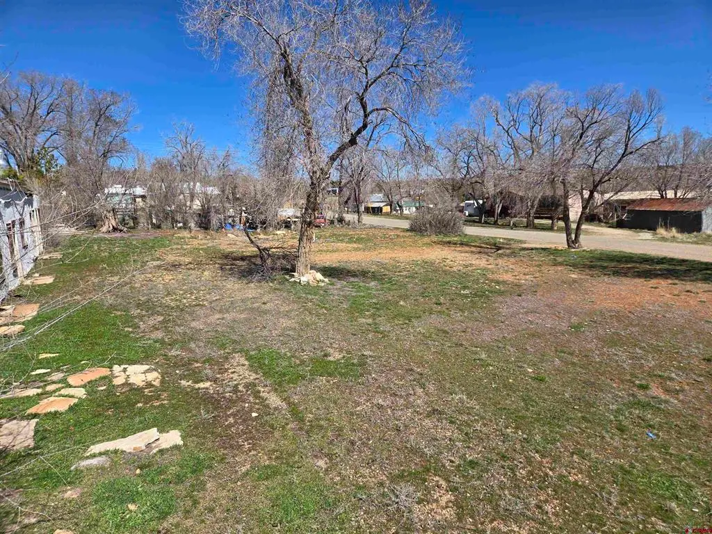 310 N Colorado Avenue, Dove Creek, CO 81324 - #1