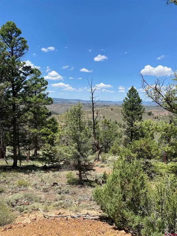 TBD Goose Creek Road, Powderhorn, CO 81243 - #1