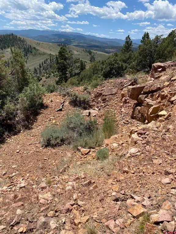 TBD Goose Creek Road, Powderhorn, CO 81243 - #3