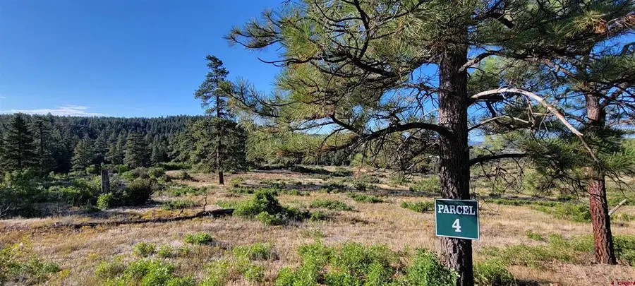 Lot 4 Beaver Creek Ranch Dr, Bayfield, CO 81122 - #2