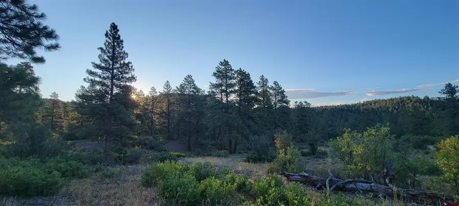 Lot 4 Beaver Creek Ranch Dr, Bayfield, CO 81122 - #3