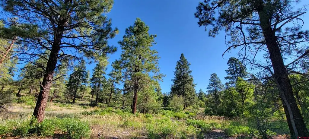 Lot 8 Beaver Creek Ranch Dr, Bayfield, CO 81122 - #1