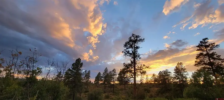 Lot 8 Beaver Creek Ranch Dr, Bayfield, CO 81122 - #2