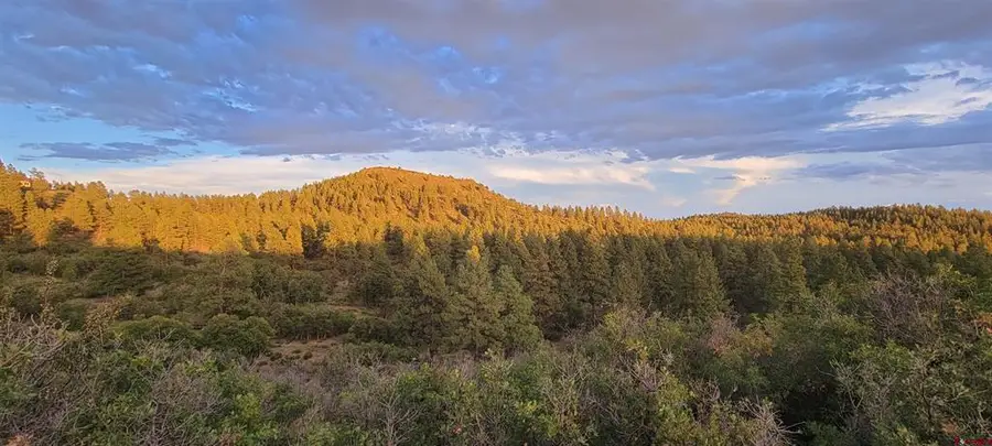 Lot 8 Beaver Creek Ranch Dr, Bayfield, CO 81122 - #3