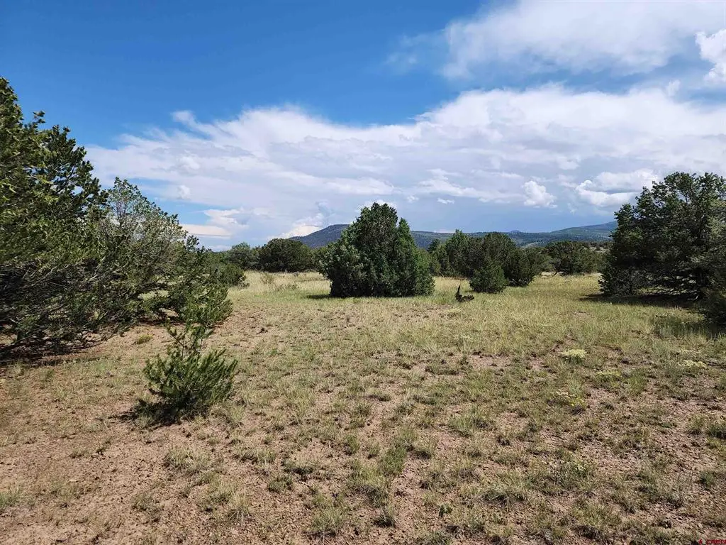 0 Loveland Road, South Fork, CO 81154 - #1