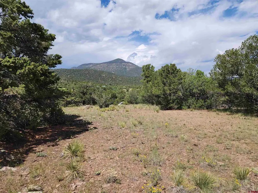 0 Loveland Road, South Fork, CO 81154 - #2