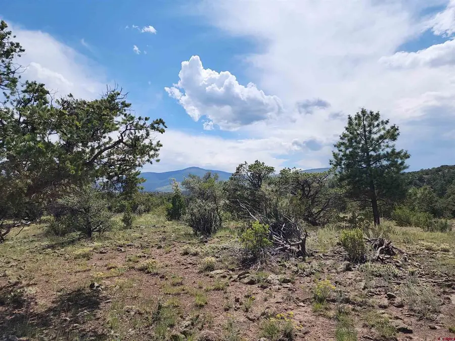 0 Loveland Road, South Fork, CO 81154 - #3