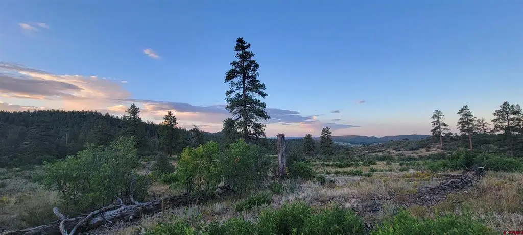 Lots 4 and 5 Beaver Creek Ranch Dr, Bayfield, CO 81122 - #1