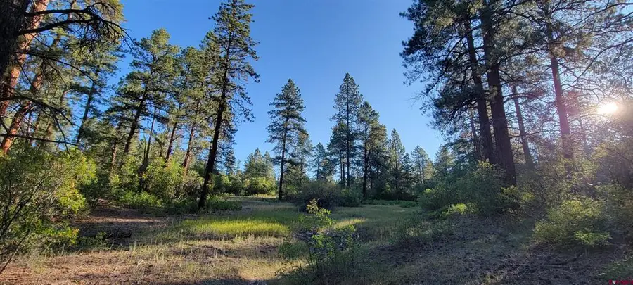 Lots 4 and 5 Beaver Creek Ranch Dr, Bayfield, CO 81122 - #2