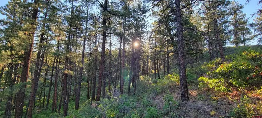 Lots 4 and 5 Beaver Creek Ranch Dr, Bayfield, CO 81122 - #3