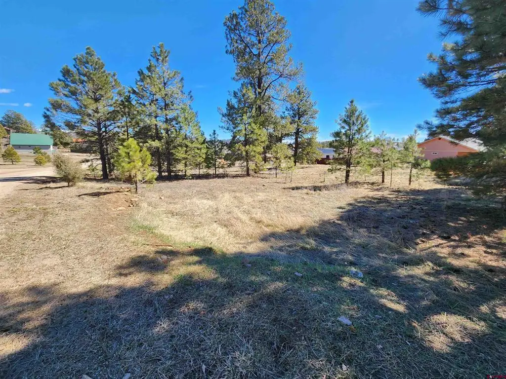 1059 Hills Circle, Pagosa Springs, CO 81147 - #1