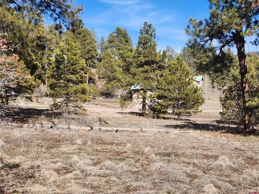 1059 Hills Circle, Pagosa Springs, CO 81147 - #3