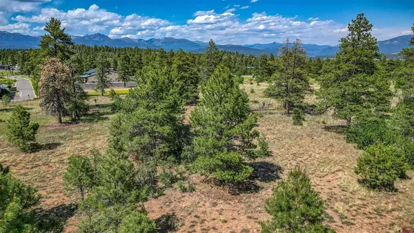 1343B Wheeler Place, Pagosa Springs, CO 81147