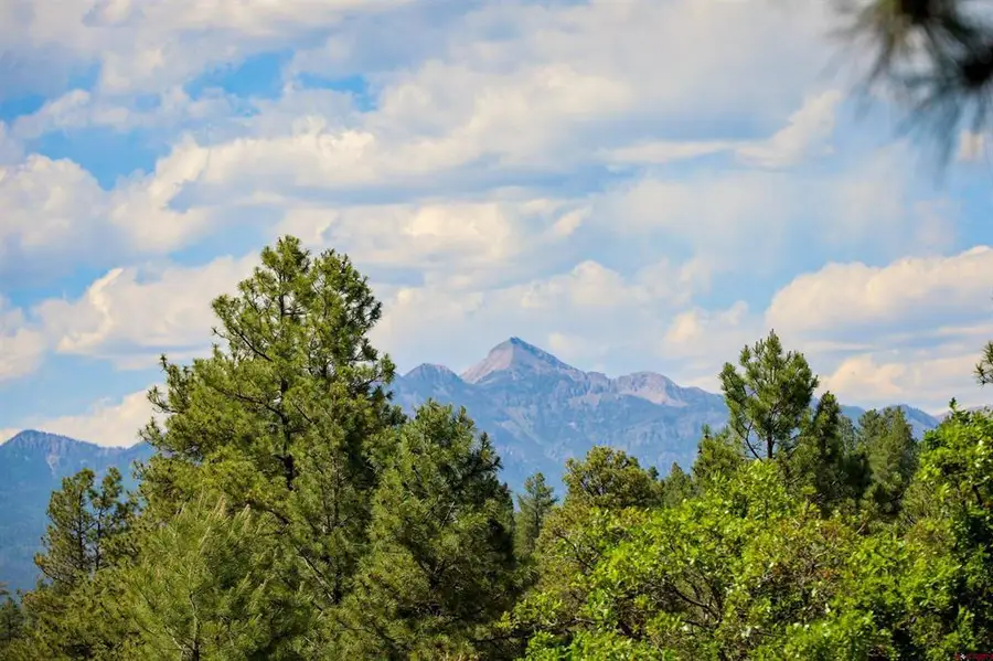 1343B Wheeler Place, Pagosa Springs, CO 81147 - #2