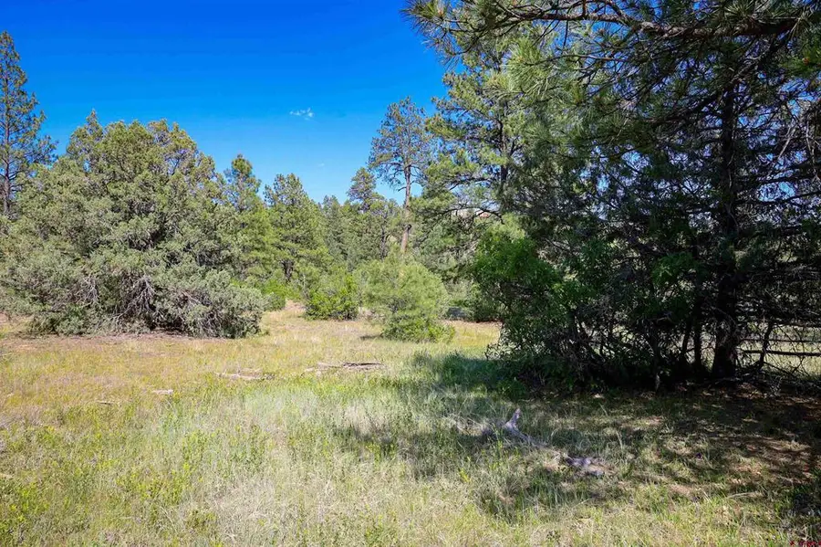 1343B Wheeler Place, Pagosa Springs, CO 81147 - #3