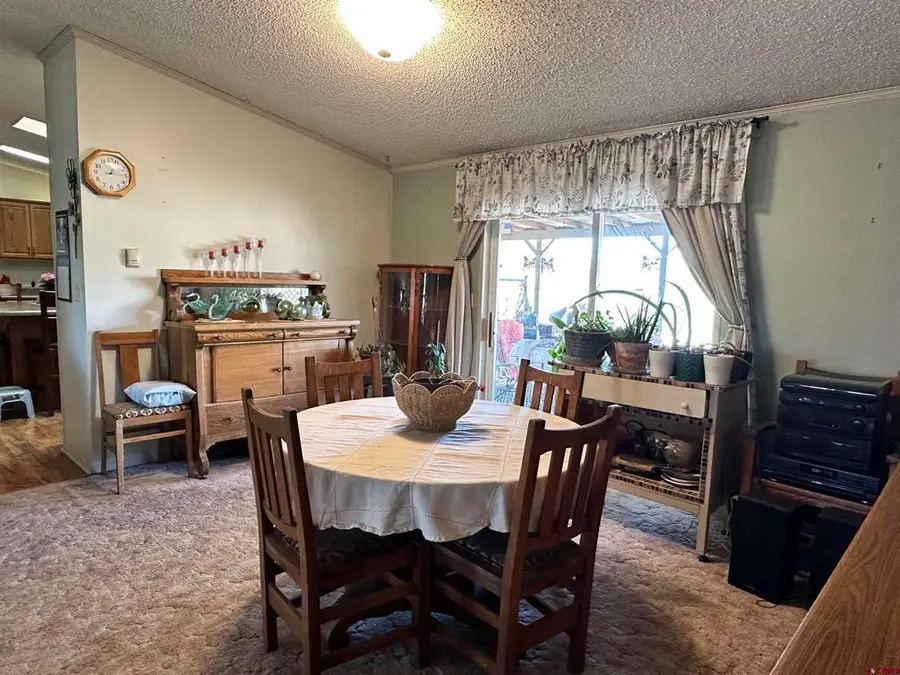 21177 Navajo Road, Eckert, CO 81418 - #2
