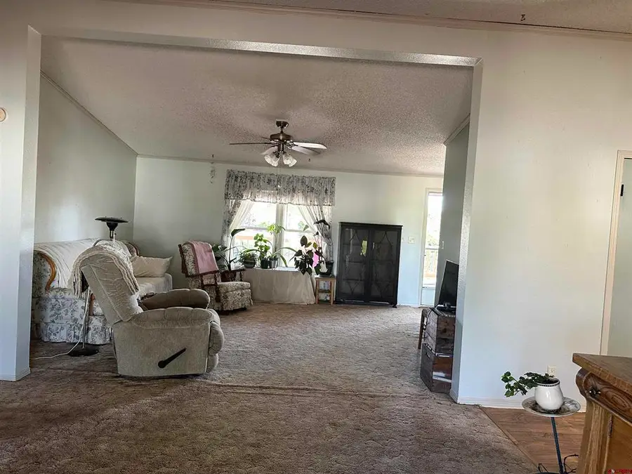 21177 Navajo Road, Eckert, CO 81418 - #3