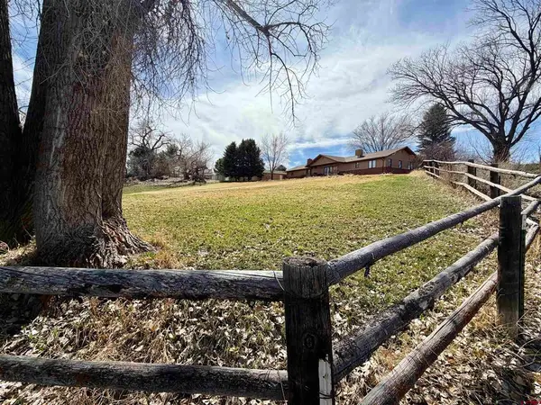8806 Cottonwood Lane, Hotchkiss, CO 81419