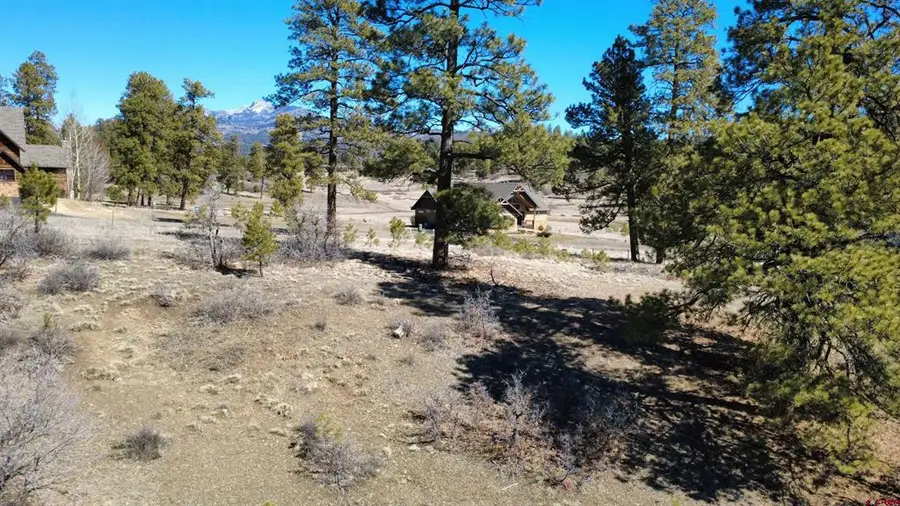 700 Clint Circle, Pagosa Springs, CO 81147 - #2