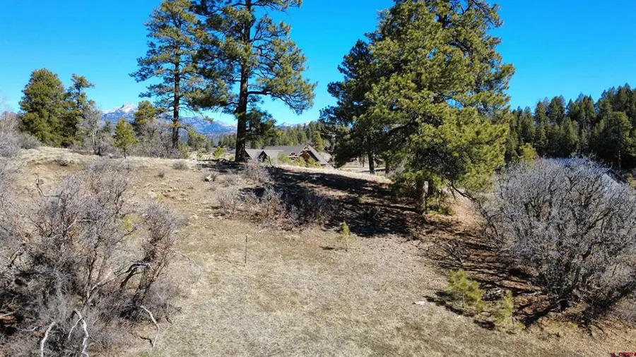 700 Clint Circle, Pagosa Springs, CO 81147 - #3