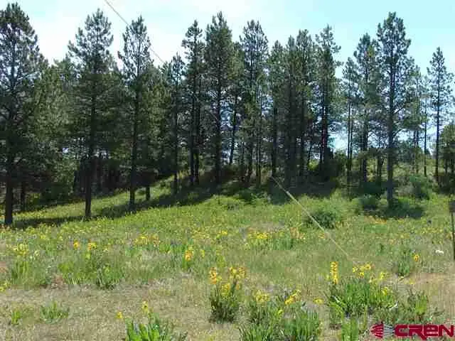198 S Honeysuckle Ave, Pagosa Springs, CO 81147 - #1